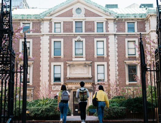 Licencias de actividad para Colegios mayores