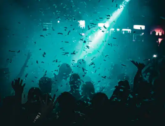 Licencia de actividad para Discoteca y Ocio Nocturno